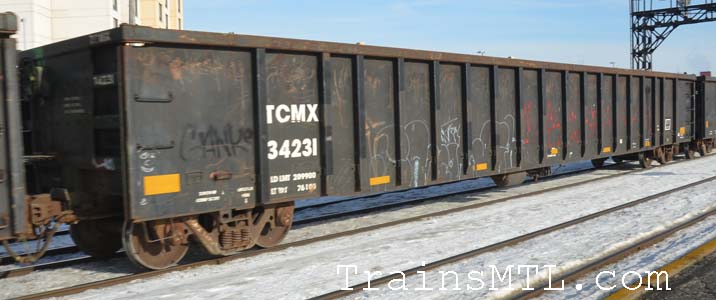 Car/wagon TCMX34231 right side / coté droit